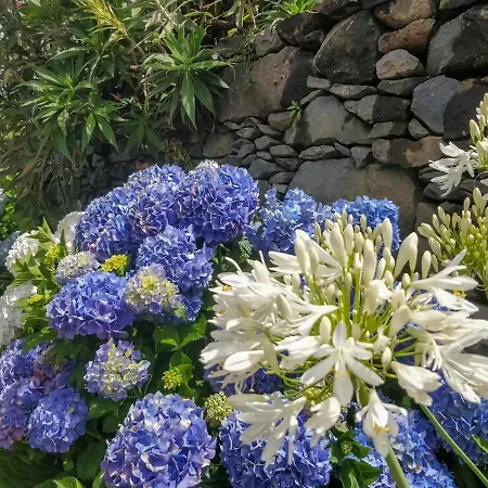 Dağ evi Achadinha - Mountain Arco da Calheta (Madeira)
