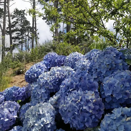 Achadinha - Mountain Dağ evi *