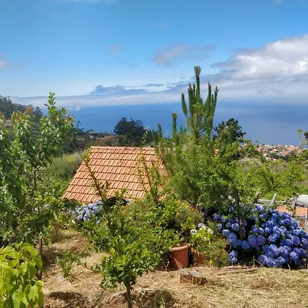 Achadinha - Mountain * Arco da Calheta (Madeira)
