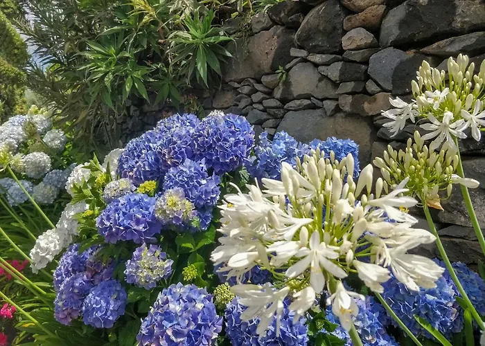 Domek alpejski Achadinha - Mountain Arco da Calheta (Madeira)