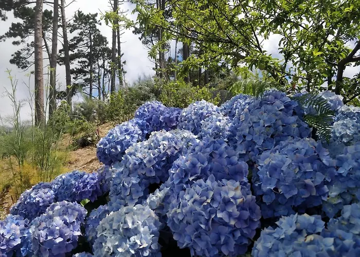 Achadinha - Mountain 木屋 *