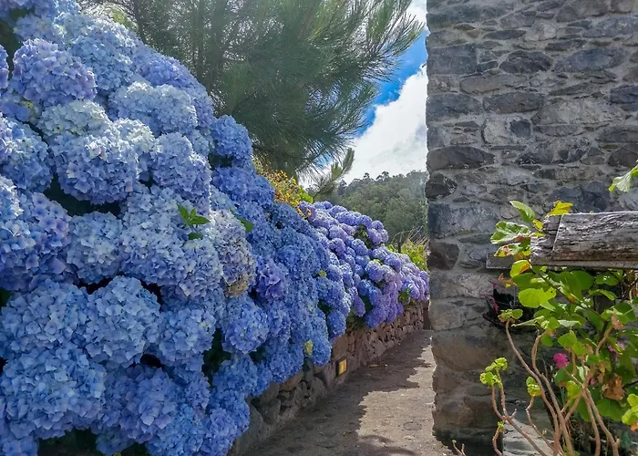 Achadinha - Mountain *